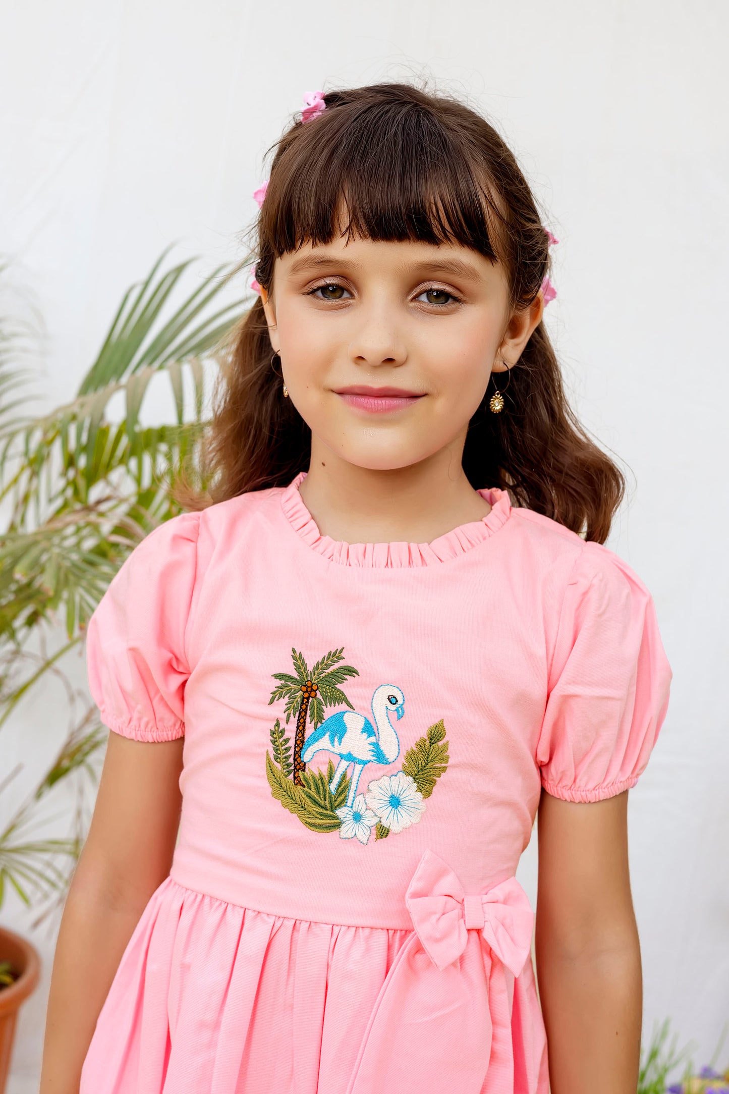 Tiny Twills Flamingo Embroidered girls Frock