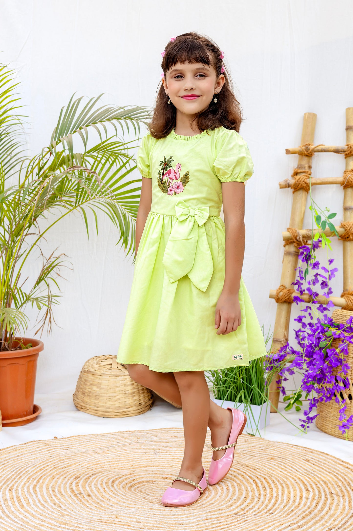 Tiny Twills Flamingo Embroidered girls Frock