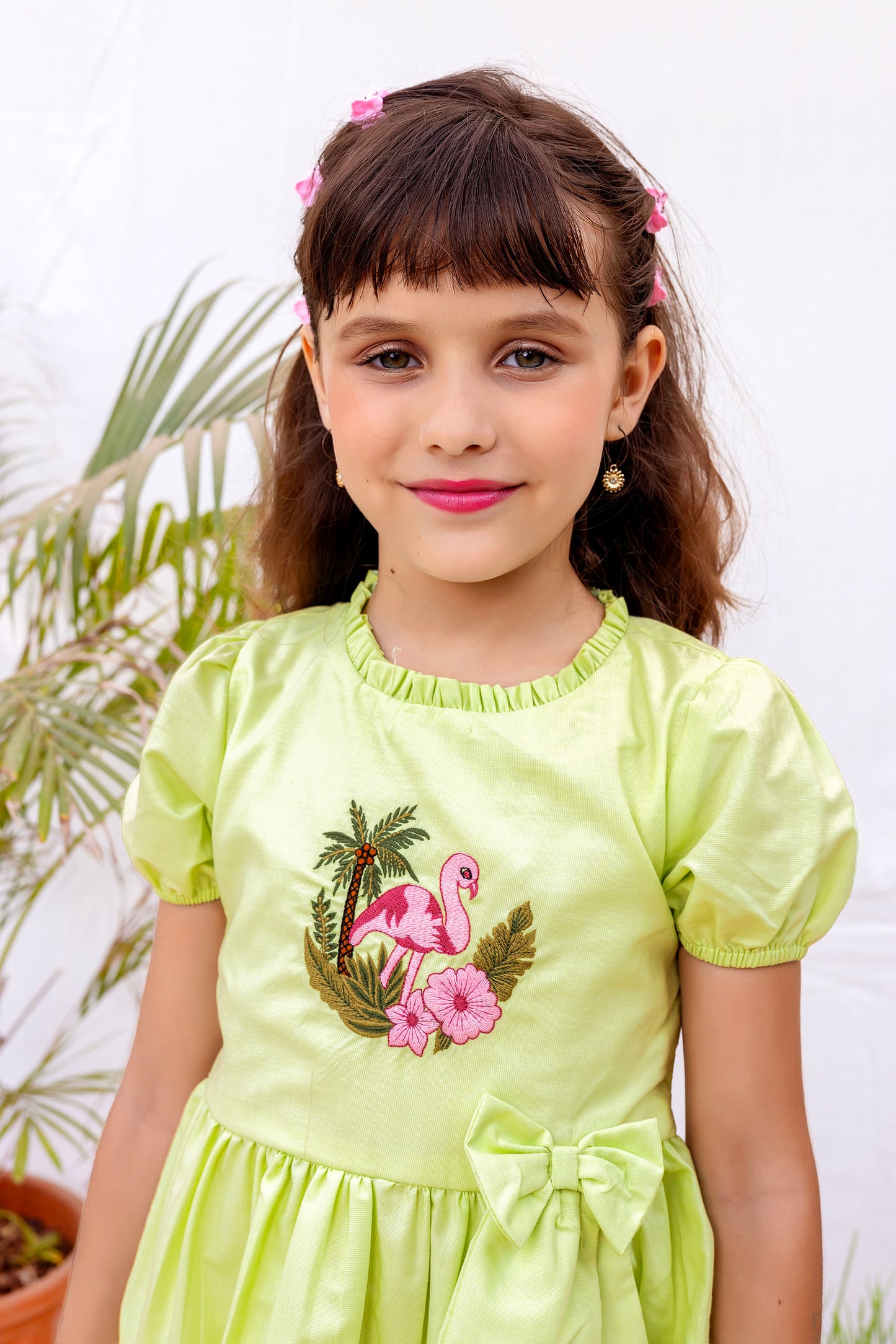 Tiny Twills Flamingo Embroidered girls Frock